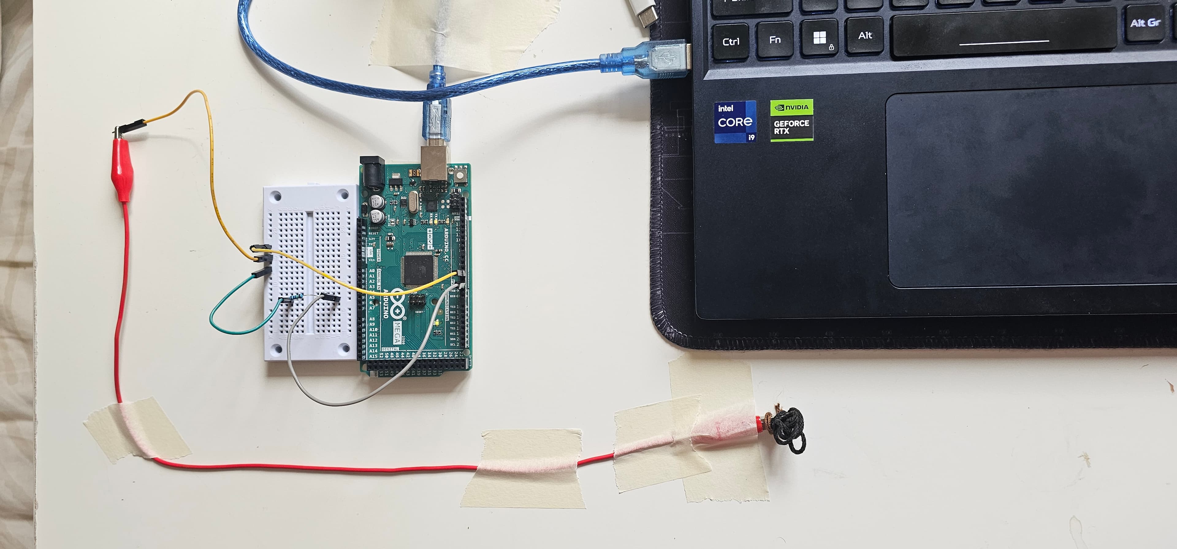Piezo Interactions
